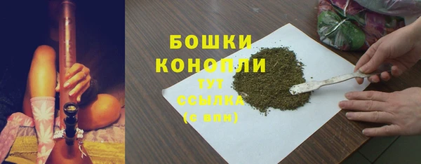 гидропоника Каменка