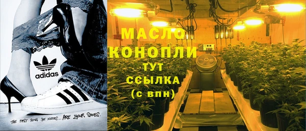 гидропоника Каменка