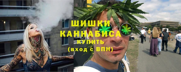 spice Каменногорск