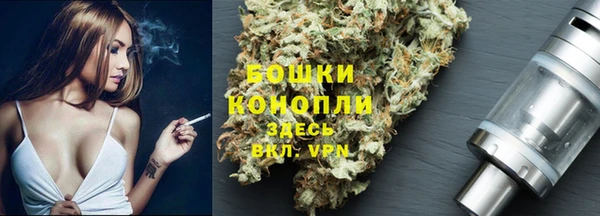 spice Каменногорск