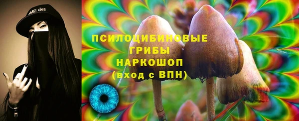 гидропоника Каменка