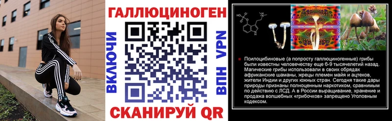 Купить закладки  Гаврилов Посад  Галлюциногенные грибы Cubensis 